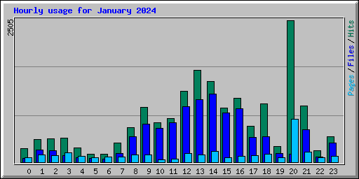 Hourly usage for January 2024