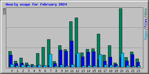 Hourly usage for February 2024