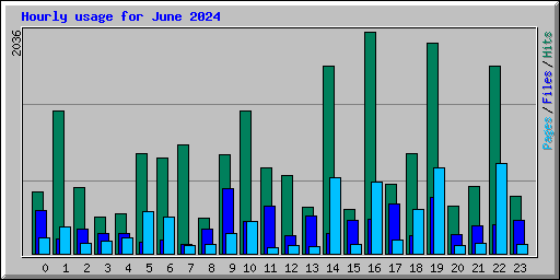 Hourly usage for June 2024