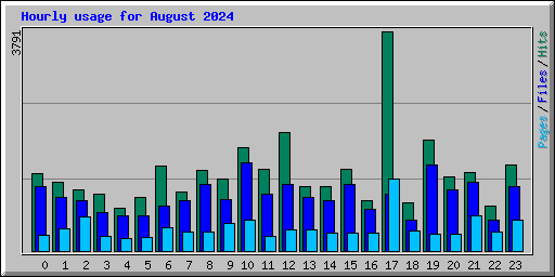 Hourly usage for August 2024