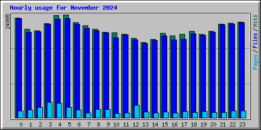 Hourly usage for November 2024