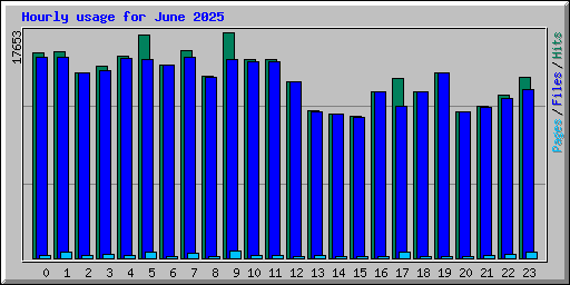 Hourly usage for June 2025