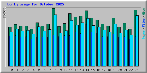 Hourly usage for October 2025