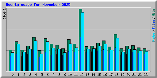 Hourly usage for November 2025