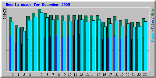 Hourly usage for December 2025