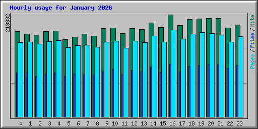 Hourly usage for January 2026