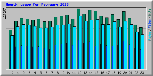 Hourly usage for February 2026